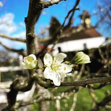 Dreher Hof Salem Salem  Dış mekan fotoğraf