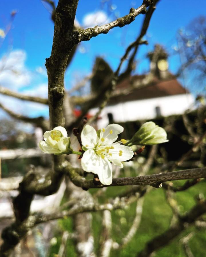 Dreher Hof Salem Salem  Dış mekan fotoğraf